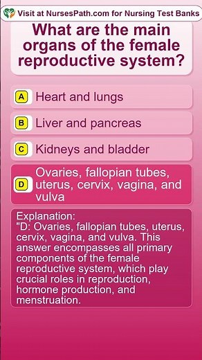 What are the main organs of the female reproductive system