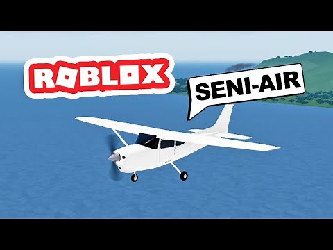 Expanding My AIRPLANE Company in ROBLOX