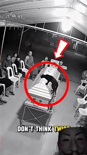 If You See This… RUN IMMEDIATELY 😱 #scary #horror #shorts