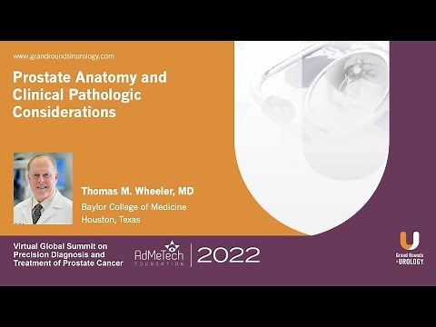 Prostate Anatomy and Clinical Pathologic Considerations