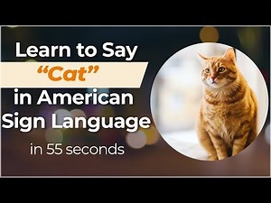 Signing in Seconds: Learn how to say CAT in ASL! LESS THAN 50 SECONDS!