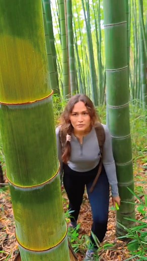 Bushcraft skills part 1 #campingwithdogs #camping #campinglife #campingtrip | Sandra | Facebook