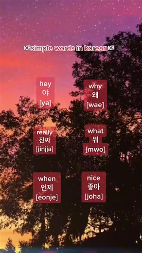 Korean Language Basics: Simple Words & Phrases