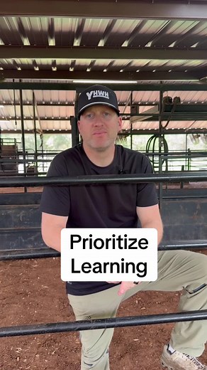 Prioritize Learning When Showing Cattle: Showmanship First!