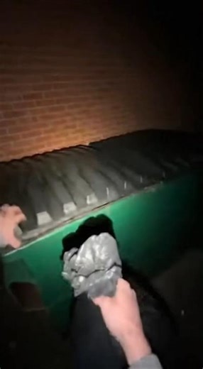 Black Bear Explodes Out of Dumpster at Night