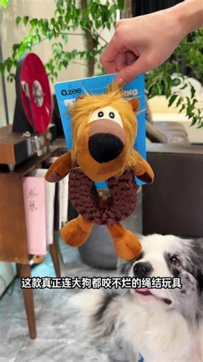家里有一个这样的玩具，就不用三天两头买新玩具了！ #狗狗玩具 #萌宠好物 #养狗人 #新手养狗 #狗玩具推荐