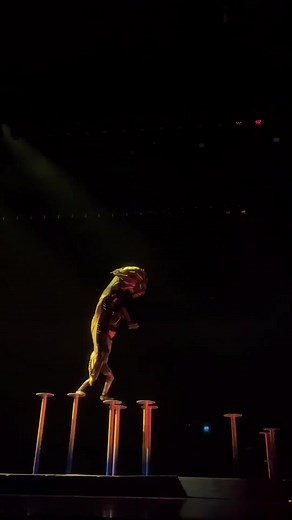 Stunning Pole Dance Performance by Animal-Costumed Dancer