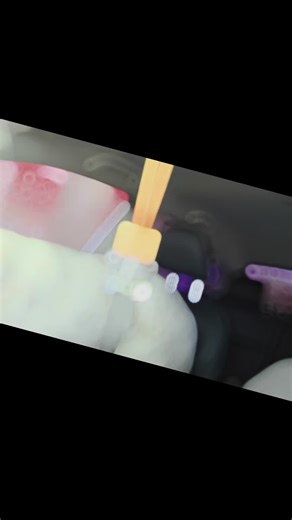 libby gillaspy on TikTok