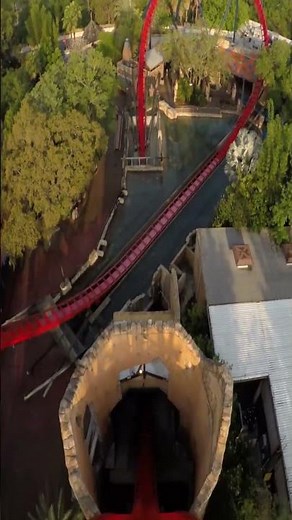 SheiKra at Busch Gardens! Dare To Dive!