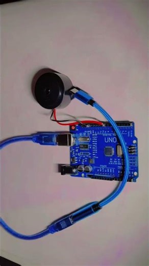 Simple microcontroller-buzzer project.