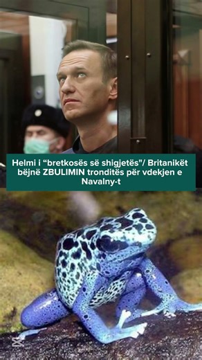 Helmi i “bretkosës së shigjetës"/ Britanikët bëjnë ZBULIMIN tronditës për vdekjen e Navalny-t
