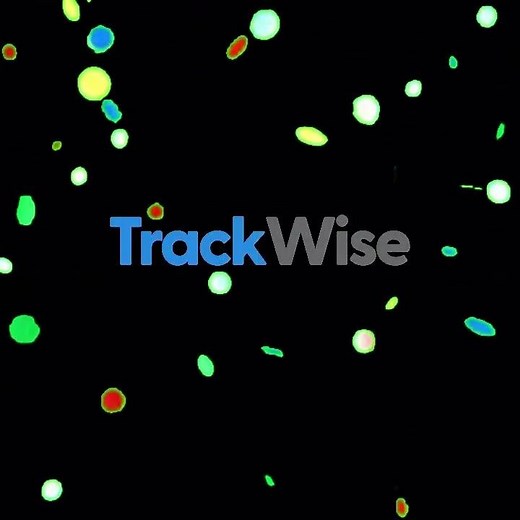 Welcome Trackwise..