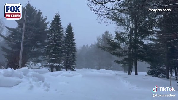 ❄️ WINTER IN MICHIGAN: Video from Frederic, MI shows consistent snow falling on Sunday morning as many areas in the Midwest and Great Lakes are preparing for blizzard conditions throughout the day and into Monday morning. Stay with FOX Weather for the latest: #FOXweather #weather #snow #midwest #greatlakes #blizzard #FOXWeather