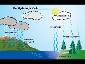 Understanding the Hydrological Cycle: A Deep Dive