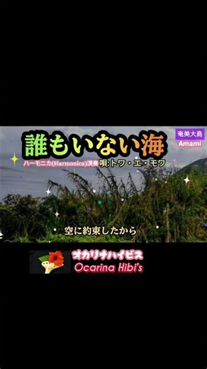誰もいない海·ハーモニカ演奏·昭和歌謡·トワ・エ・モワ·Japanese Song·Shorts·No643·2015曲目·#ハーモニカ #昭和歌謡 #オカリナ #カラオケ #奄美大島 #歌ってみた