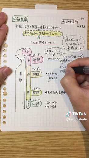 脊髄損傷について知っておくべきこと