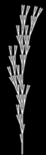 FOCUS online - Beisheim Stiftung