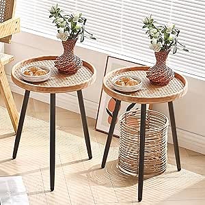 LITA 2 Pcs Rattan Log Desktop Round Side End Table, Nightstand/Small Tables, Indoor Outdoor Wooden Tray Table with Metal Stand End Table for Living Room Bedroom Office Small Spaces