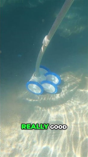 Pool Cleaner Transformation From A Swamp to A Sparkling Clean Pool!