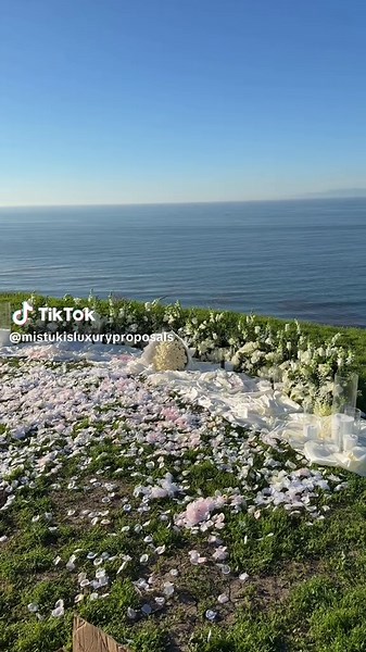 We will make her dreams come true❤️ contact us: (323)875-5159 769 s san pedro st los angeles ca 90014 locations: LA /OC/ VALLEY/ IE #mistukisluxuryproposals #marryme #engagmentproposal #proposals #foryoupage #mistukisfloralboutique #engagmentproposal