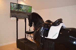 Riding Simulator - Gaddesden Place RDA