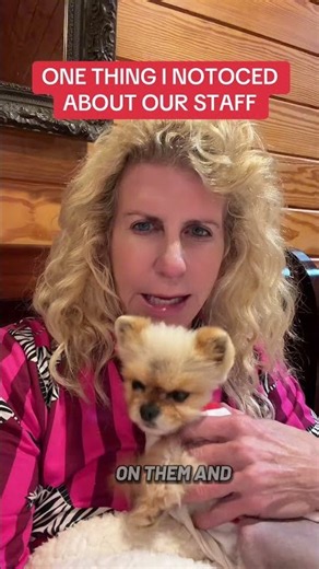 #dog boarding #dog daycare # how to pick the best dog boarding or daycare