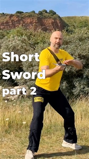 How To Cut Like A Pro: Short Sword Training #shorts #martialarts #training