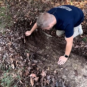 765K views · 8.5K reactions | Beyond the cleared area, we uncover additional forgotten graves hidden within Geneva's woods. #genevaga #africanamericancemetery #lostgraves | Adventures Into History | Facebook
