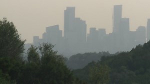 Cedar fever spikes as Texas scientists search for solutions