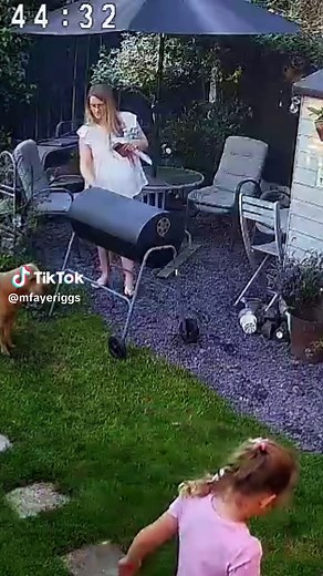 Unexpected Encounter with a Spider During Pregnancy