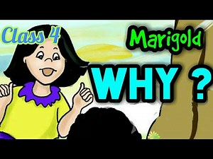 Why? - Explanation Video Lecture | English for Class 4