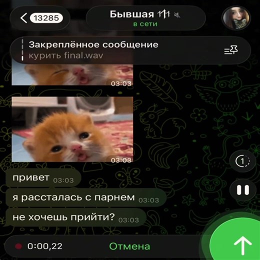трек в тг astralgoatt #wifiskeleton #soundcloud #postpank #lyrics #перепискаpov
