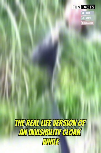 China’s Invisibility Cloak – The Future of Stealth Tech! 👀✨