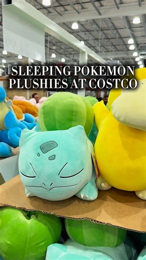 Costco just stocked sleeping Pokémon plushies and they’re irresistibly soft, perfect for snuggling, decorating a shelf, or adding to your Pokémon collection with sleepy charm. Share this with someone who loves Pokémon and plushies. #costcofinds #costcowonders #costcoinfluencer #pokemon #plushies | Costco Wonders