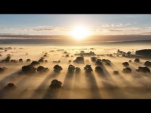 SALVE REGINA - with Latin lyrics and English translation