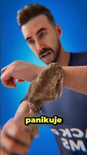 What to do if you are bitten by a poisonous snake? 😱