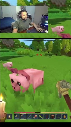 Chanchitos 🐷 en Hytale 👏🏼