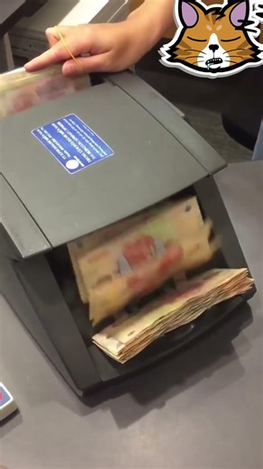 💵 Endless Money Counting ASMR 💵 | Sleep, Focus, Manifest Wealth