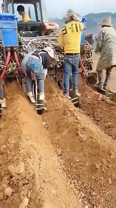 2.8K views | Planting sugar cane | Discover Life | Facebook