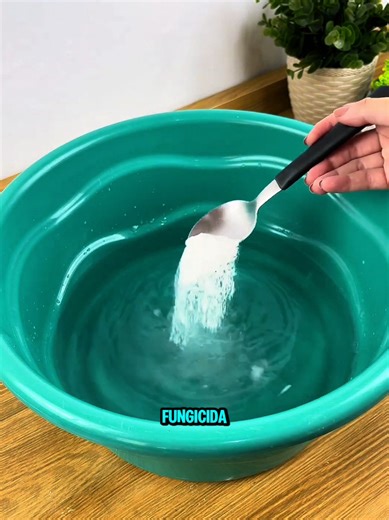 la mejor combinación para el piso #viralvideo