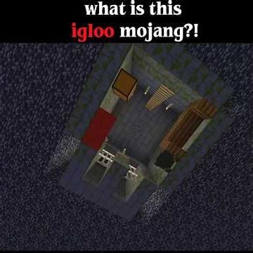Only 0.0001% of Players Find This Igloo Glitch... 😱