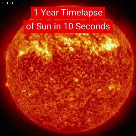 Amazing SUN 1 YEAR IN 10 Seconds in Different Wavelengths #space #universe #sun #shorts