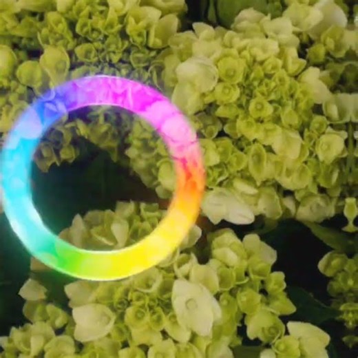 flower color wheel 🌈✨