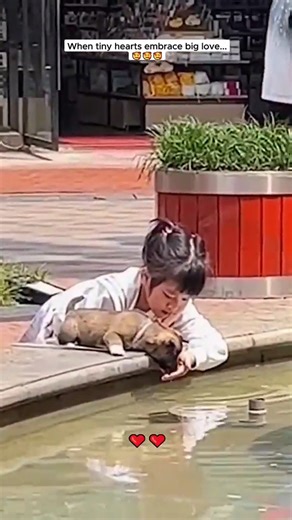 Don't let their size fool you! This heartwarming moment proves that even the smallest dogs have the biggest hearts, ready to shower you with immense love. | Pawsitive Pooch Love