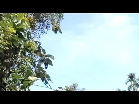 Devanuvlogs is live!