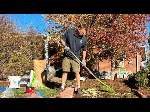 Sheet mulching your yard