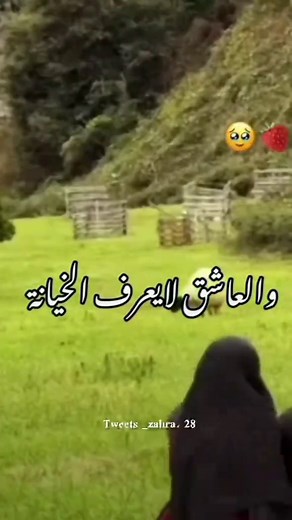 فیلم فیر زارا Veer-Zaara لشاروخان ليس مجرد قصة حب، بل قصيدة طويلة عن الوفاء والانتظار والحب الذي لا يعترف بالحدود ولا بالزمن. هو فيلم هادئ في إيقاعه، عميق في إحساسه، يجعلك تشعر أن المشاعر الصادقة يمكن أن تعيش عمرًا كاملًا دون أن ثقال أداء شاروخان هنا مختلف؛ ليس صاخبًا ولا استعراضيا، بل مليء بالسكوت الموجع والنظرات التي تحمل أكثر مما تحمله الكلمات. أما زارا، فتمثل الحب النقي الذي لا يساوم، حب يختار التضحية بدل الهروب أقسى ما في الفيلم ليس الفراق، بل الصبر الطويل الذي يعيشه البطل بصمت، وكأن الحب ع