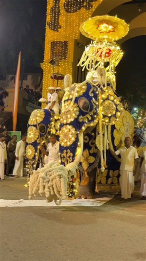 🙏🐘 A sacred moment at Kelani Raja Maha Viharaya Perahera ✨ The main 3 majestic elephants carrying the holy Reliquary Shrine 🛕 A powerful symbol of faith, tradition, and devotion 🇱🇰💛 #KelaniRajaMahaViharaya 🛕 #KelaniPerahera #SriLankaCulture 🇱🇰 #SacredTradition #PeraheraVibes ✨ #MajesticElephants 🐘🐘🐘 #ReliquaryShrine 🙏 #BuddhistHeritage #SpiritualJourney #VisitSriLanka #ExploreSriLanka 🌍 #FBReels #ViralSriLanka #CulturalPride | Ceylon Green Village