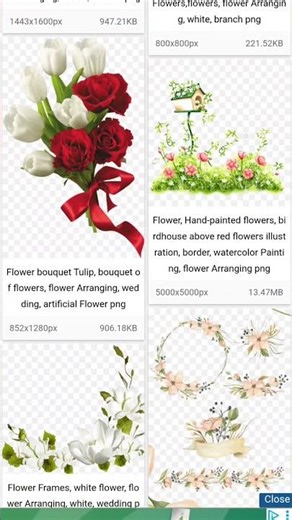 website For Free PNG Transparent Background #canva #digitalart #foryou #cricut #