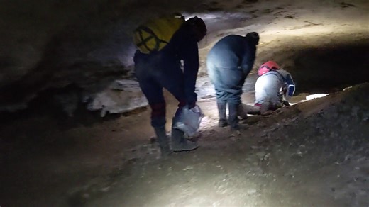 POV: You're a bat biologist out in the field. 🦇 Today, we are shouting out our bat biologists who venture deep below mountains — sometimes crawling on stomachs and squeezing through crevices — to best determine bat populations. Although caves and karsts can seem claustrophobic, the Service is lucky to employ and partner with biologists who see the wonder of these wild spaces. Their devotion is essential to bat conservation in the wake of white-nose syndrome. Video description: A caver crouches 